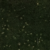 Terre cuite émaillée vert